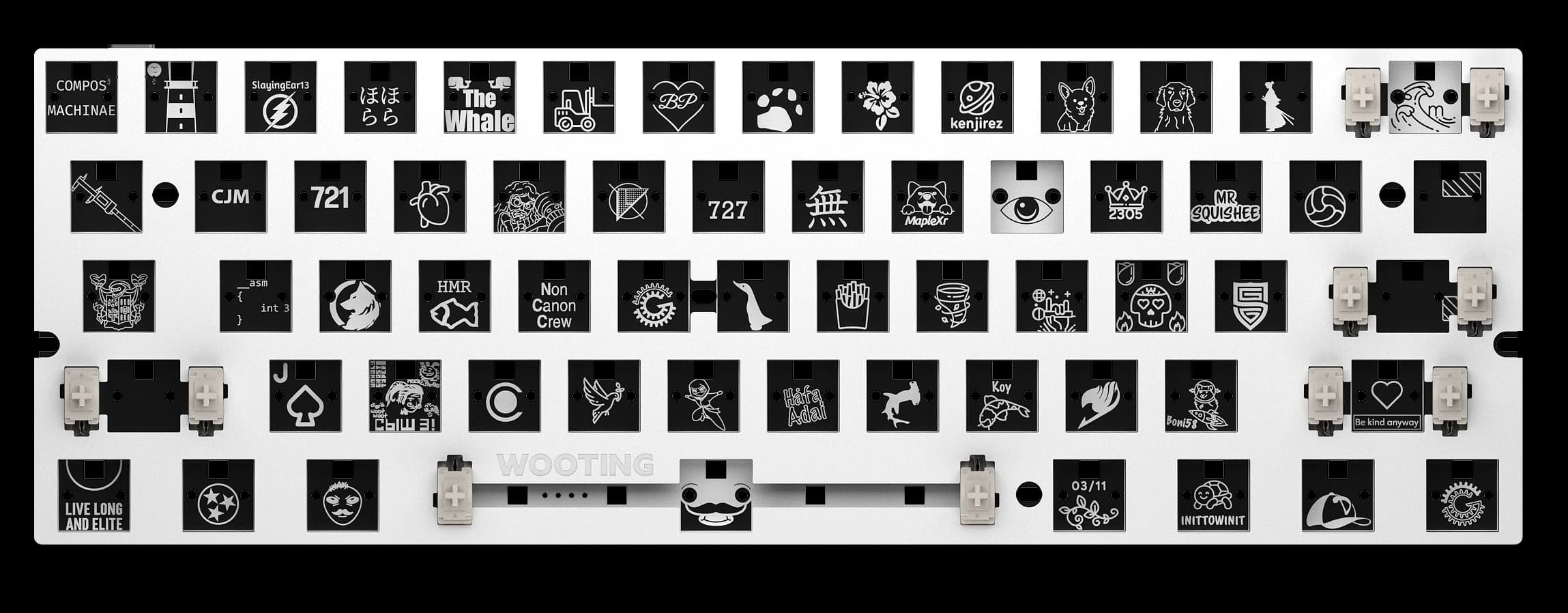 Wooting 60HE+ Module